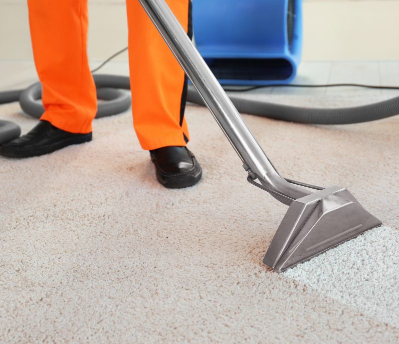 carpet cleaning business