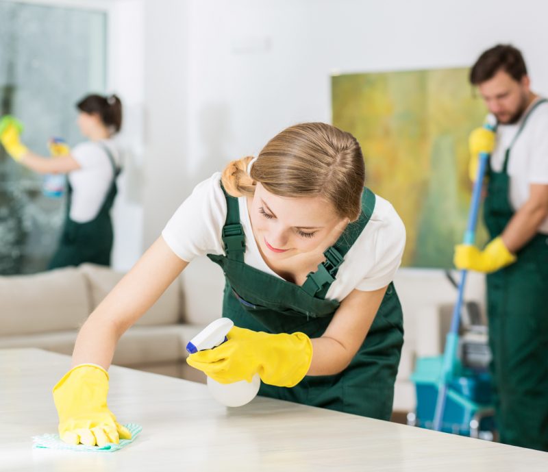 professional cleaning service