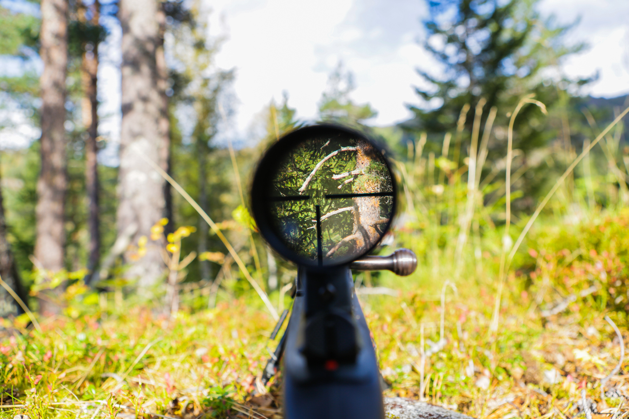 Tips For Long Range Shooting