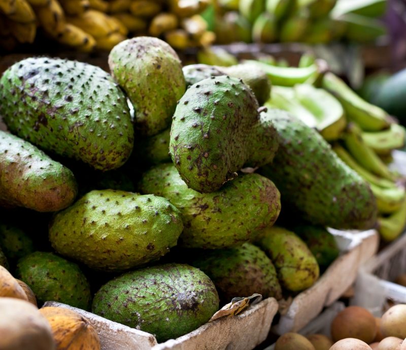 benefits of soursop