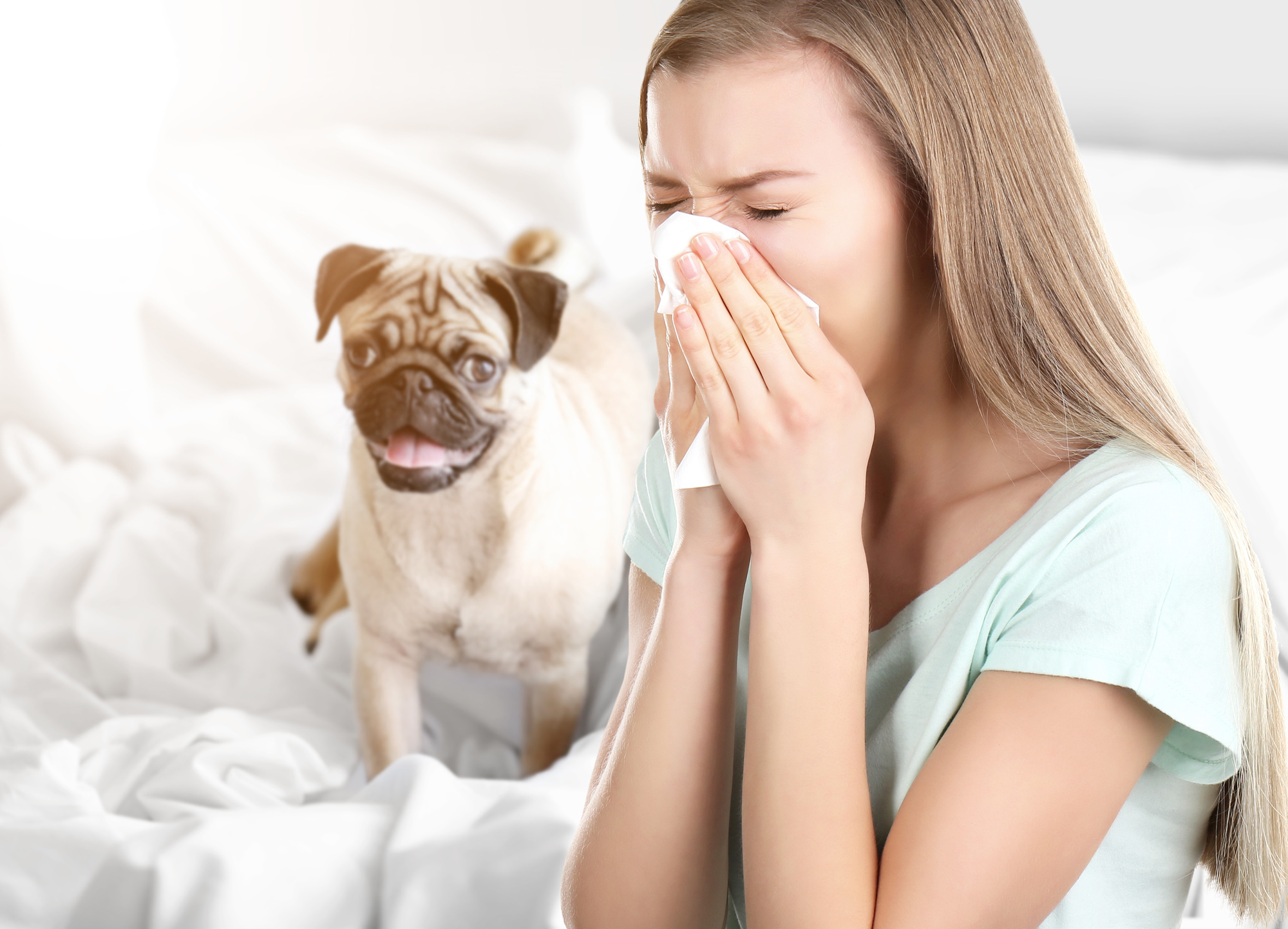 how-to-get-rid-of-allergies-in-your-home-10-essential-methods