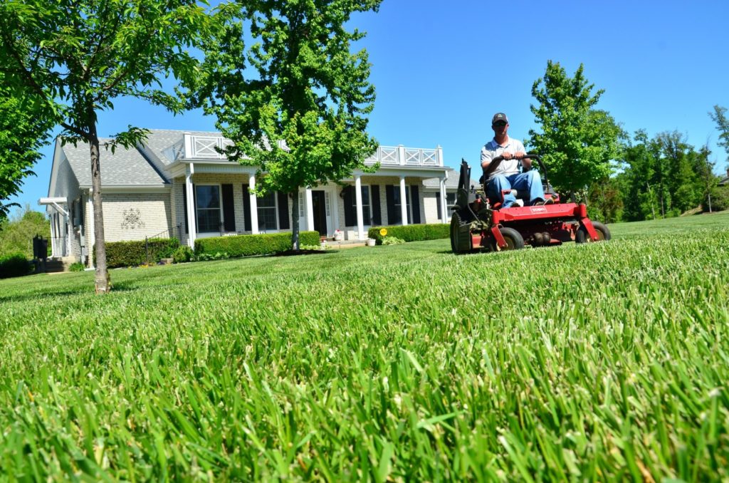 lawn-care-vs-landscaping-what-are-the-differences